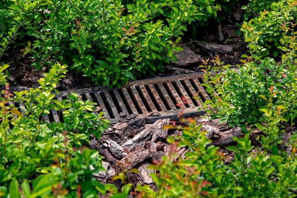 Cost of Underground Drainage Service in Billings