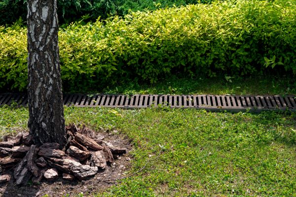 Cost of Yard Water Redirection in Billings